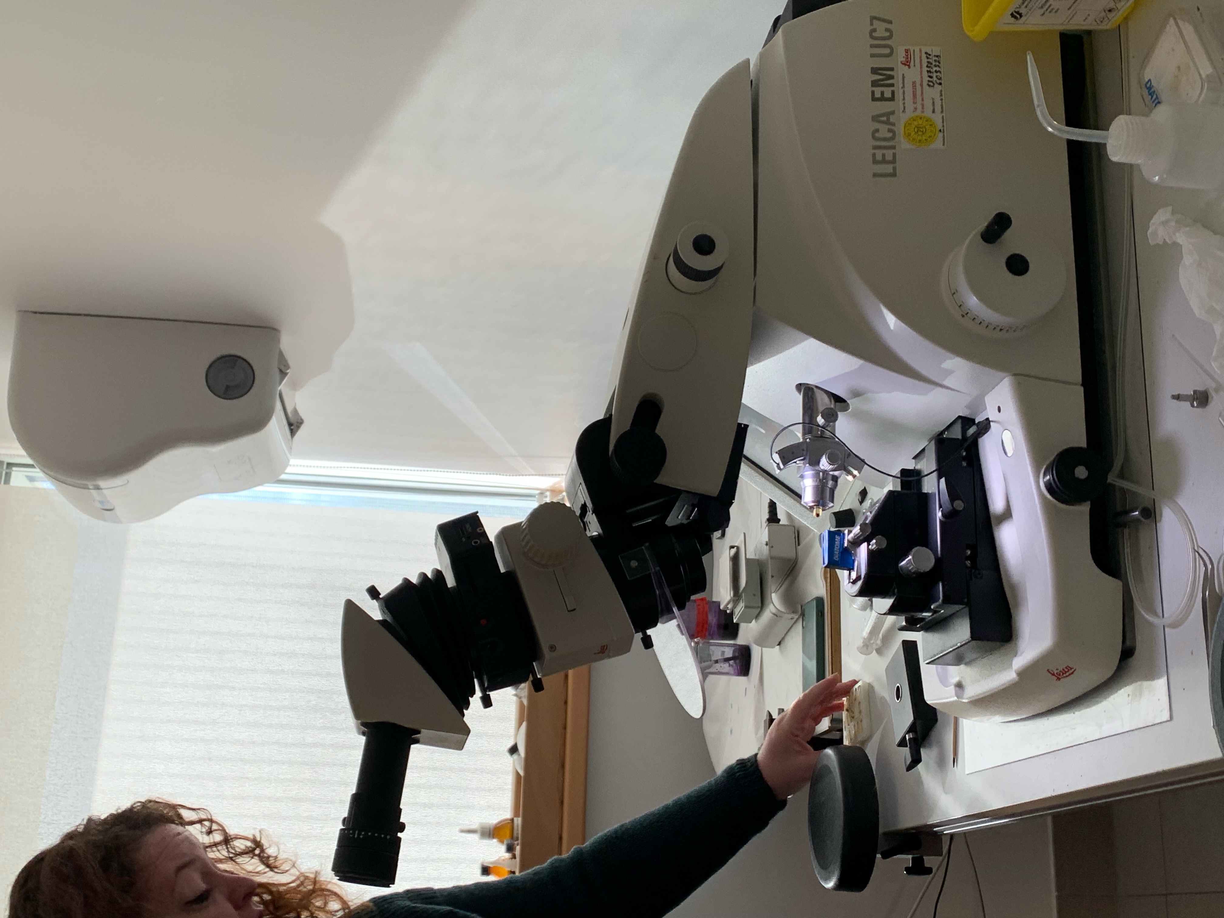 Visite du pôle « microscopie électronique » du Bordeaux Imaging Center